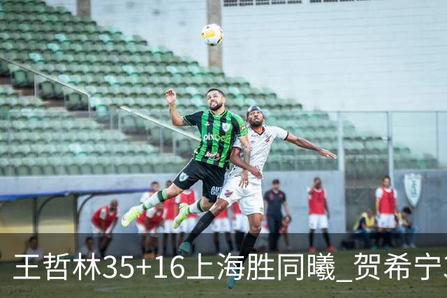 王哲林35+16上海胜同曦 贺希宁31分深圳胜北控